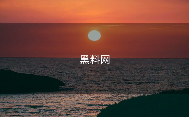 黑料网