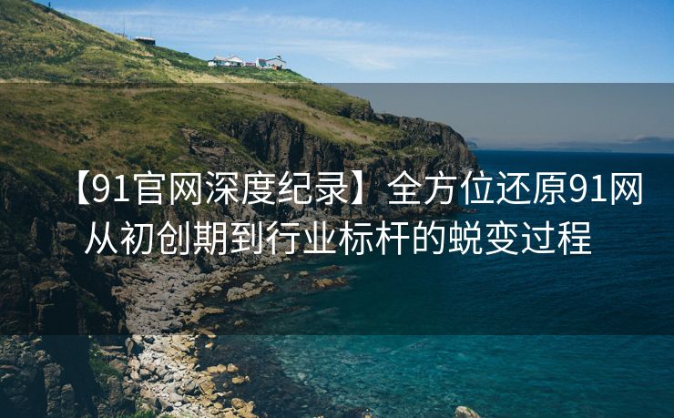 【91官网深度纪录】全方位还原91网从初创期到行业标杆的蜕变过程