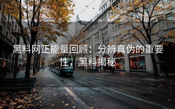 黑料网正能量回顾：分辨真伪的重要性，黑料揭秘
