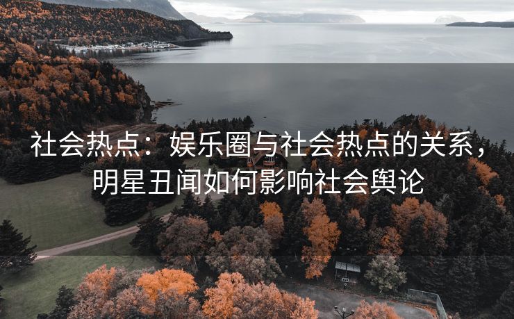 社会热点：娱乐圈与社会热点的关系，明星丑闻如何影响社会舆论