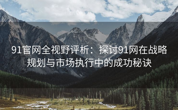91官网全视野评析：探讨91网在战略规划与市场执行中的成功秘诀