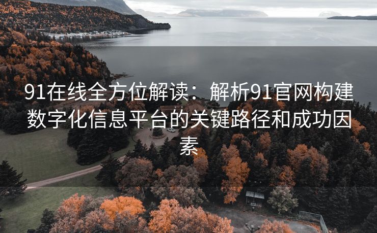 91在线全方位解读：解析91官网构建数字化信息平台的关键路径和成功因素