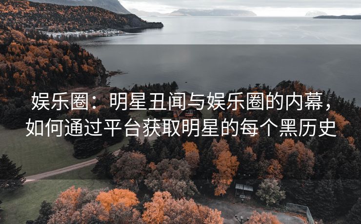 娱乐圈：明星丑闻与娱乐圈的内幕，如何通过平台获取明星的每个黑历史