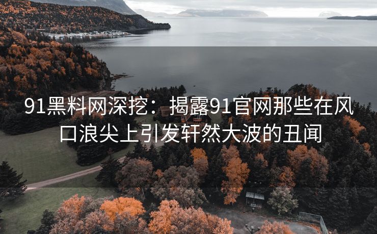 91黑料网深挖：揭露91官网那些在风口浪尖上引发轩然大波的丑闻