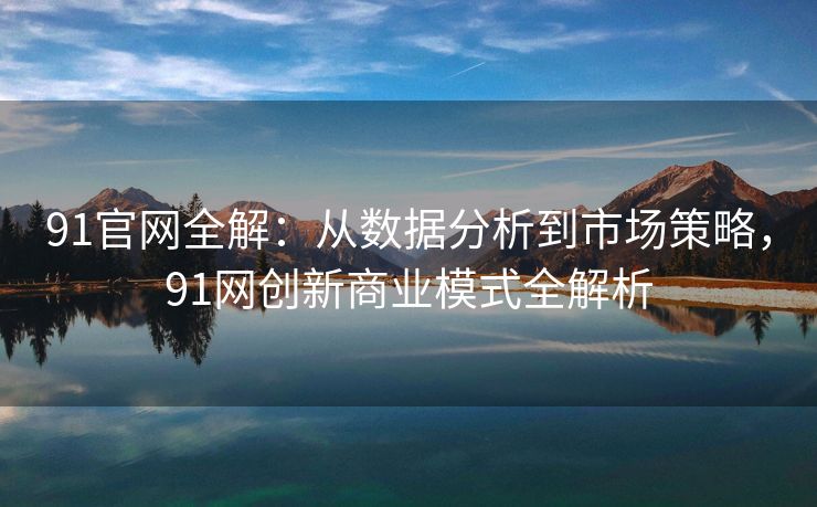91官网全解：从数据分析到市场策略，91网创新商业模式全解析