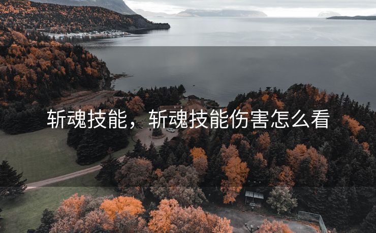 斩魂技能，斩魂技能伤害怎么看