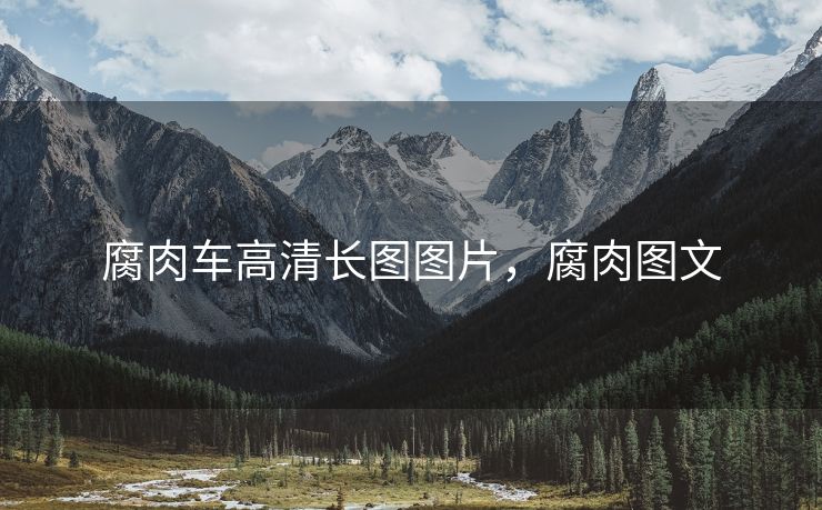 腐肉车高清长图图片，腐肉图文